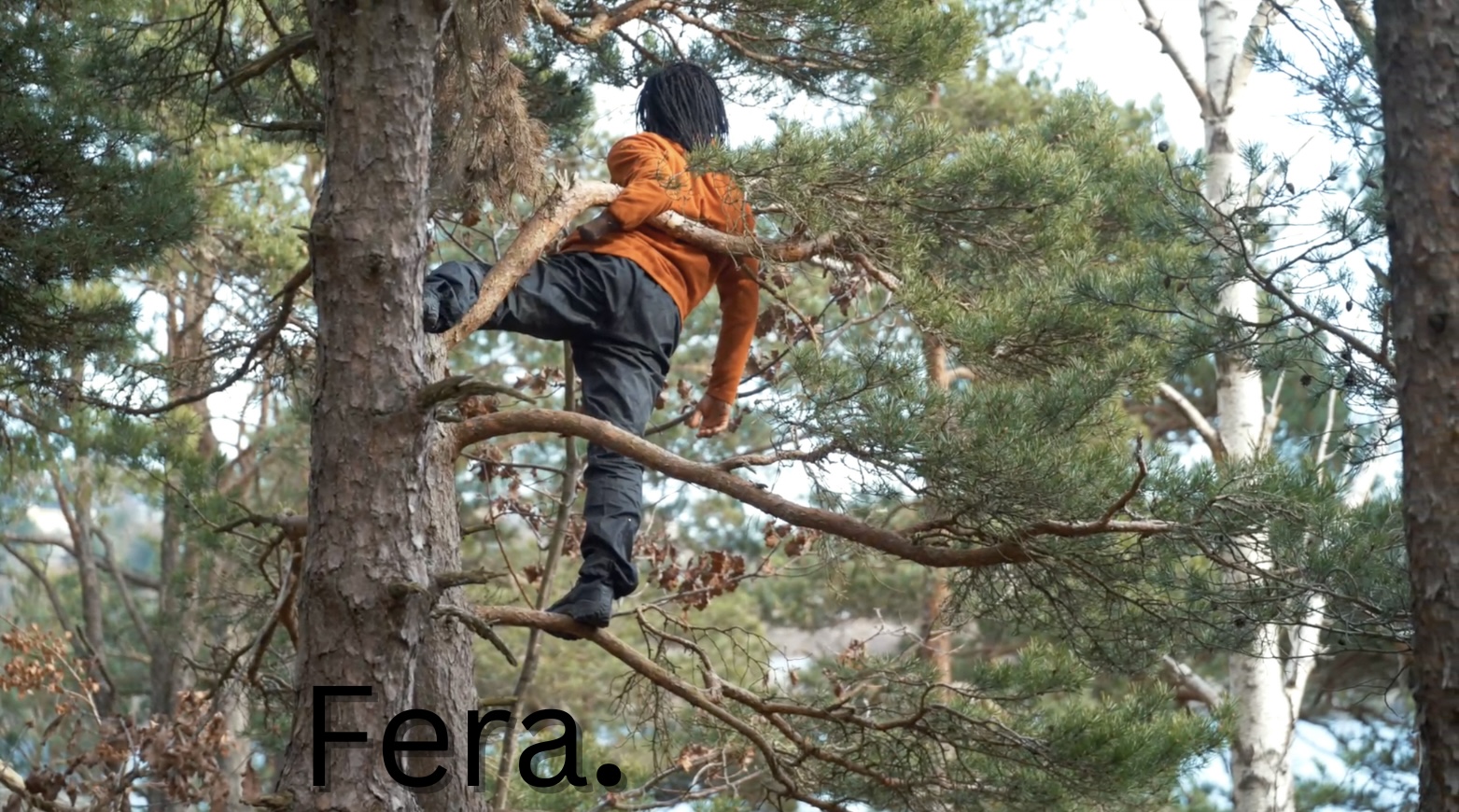 Description of Image 5